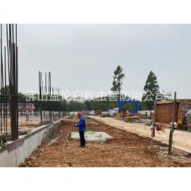 沙头地基防白蚁工程